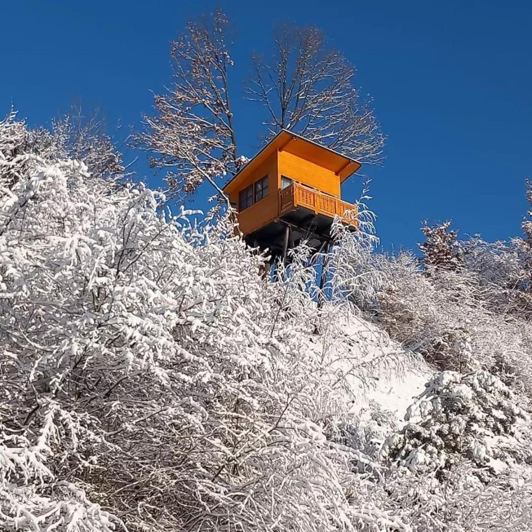 Mosia Dar In Rai Daire Berbesti Dış mekan fotoğraf